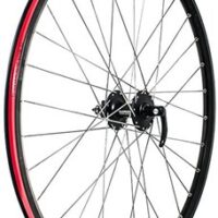 Raleigh Pro Build Front 29" Q/R Wheel
