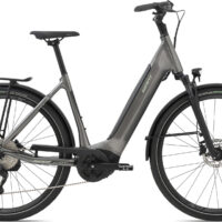 Giant AnyTour E+ 2 Low Step Electric Bike 2021 in Grey