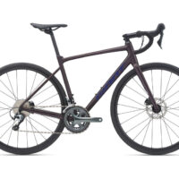 Giant Contend SL 2 Disc Road Bike 2021 in Purple