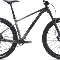 Giant Fathom 29 1 Hardtail Mountain Bike 2021 Grey