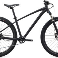Specialized Pitch Expert 1X Mountain Bikes 2020